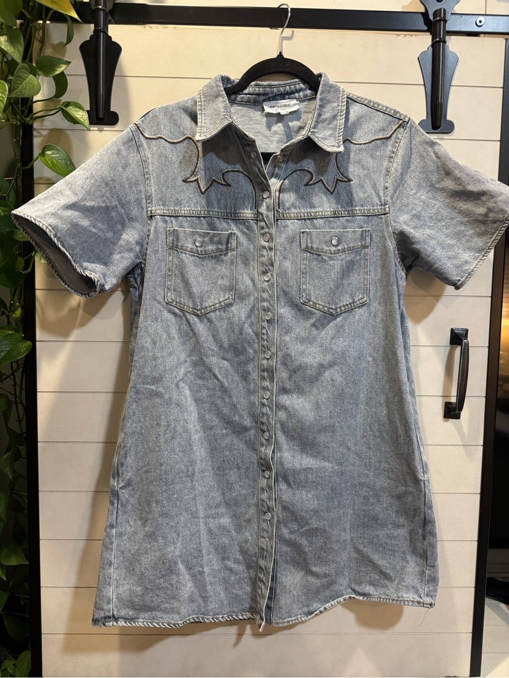 eesome Washed Denim Mini Dress with Western Yoke